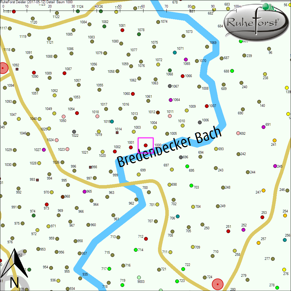 Detailkarte zu Baum 1000