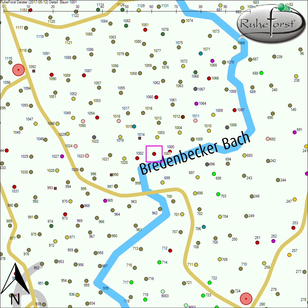 Detailkarte zu Baum 1001