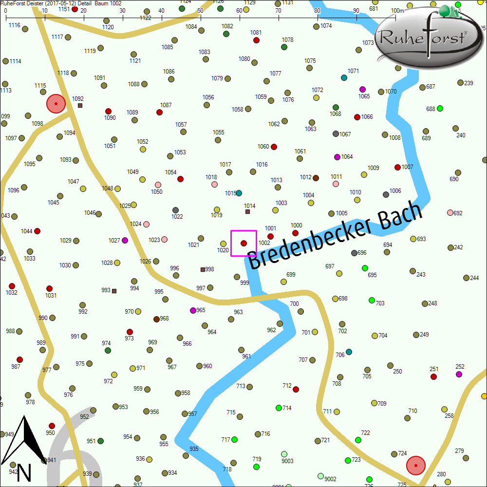 Detailkarte zu Baum 1002