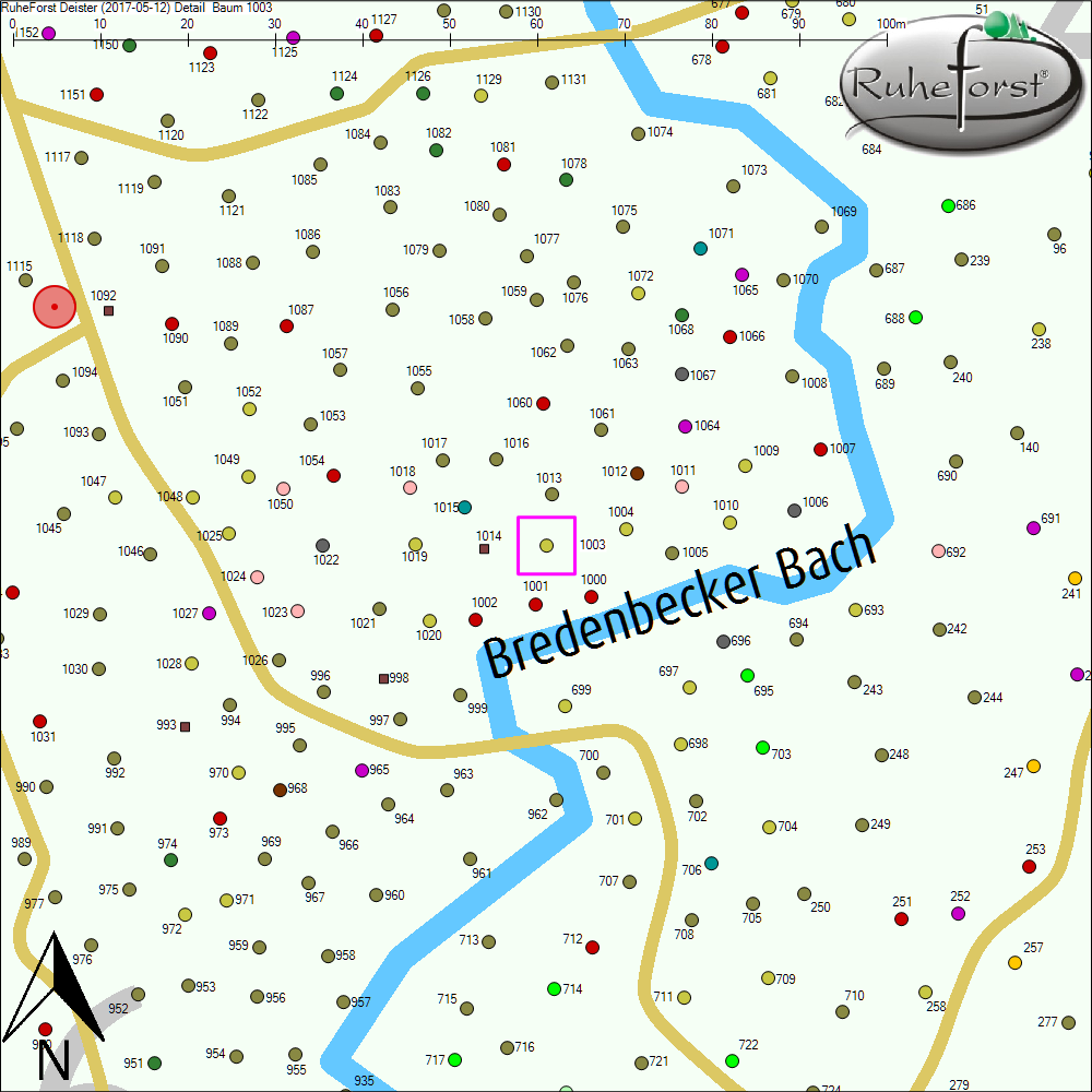 Detailkarte zu Baum 1003