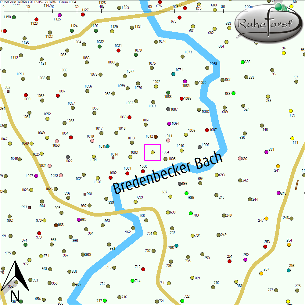 Detailkarte zu Baum 1004