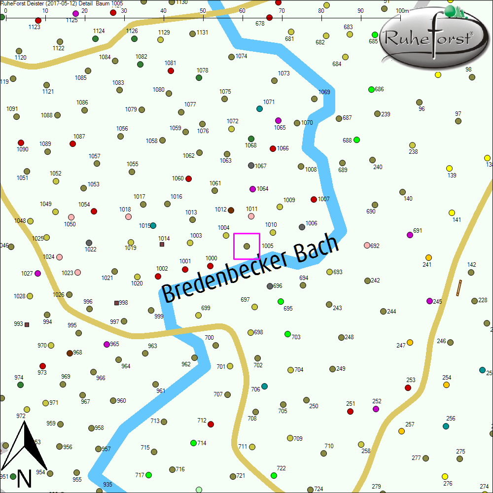 Detailkarte zu Baum 1005