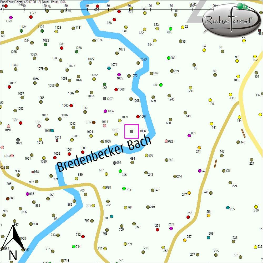 Detailkarte zu Baum 1006