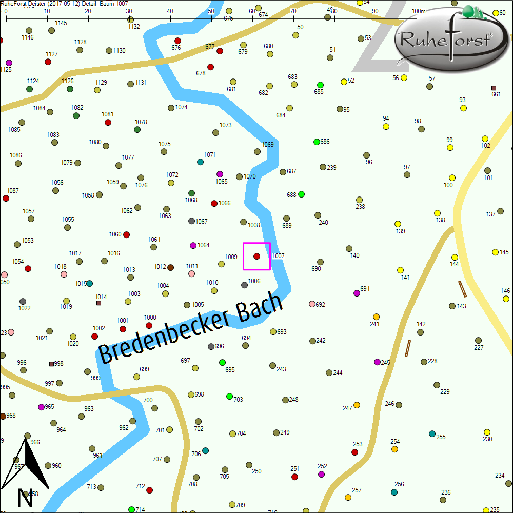 Detailkarte zu Baum 1007