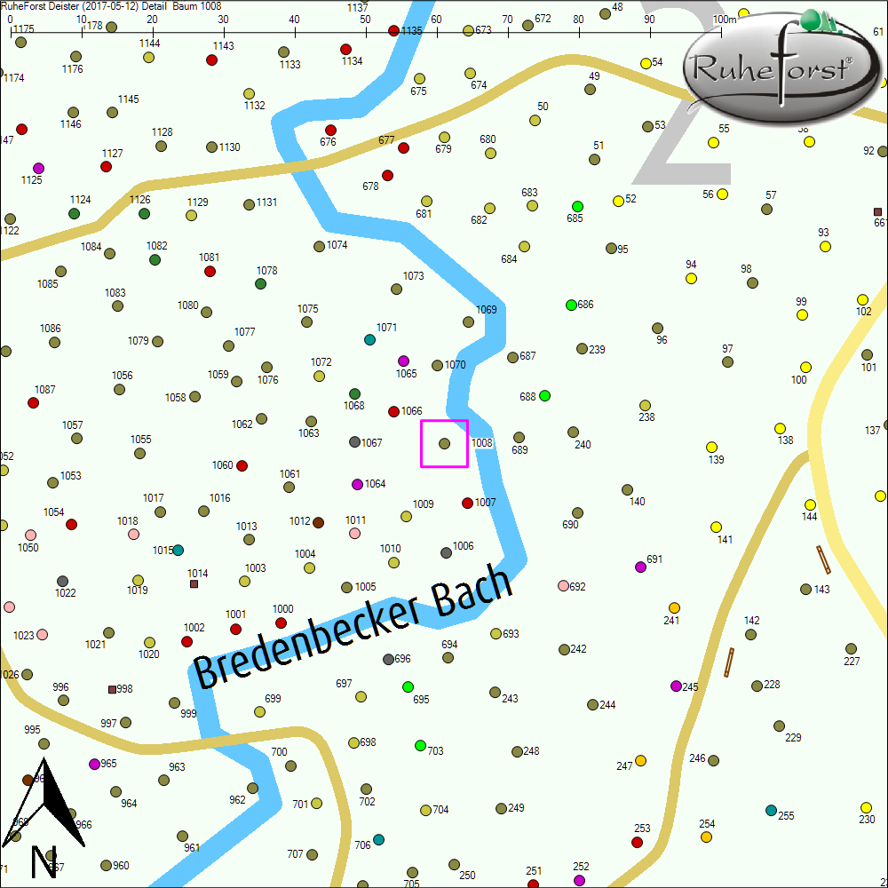 Detailkarte zu Baum 1008