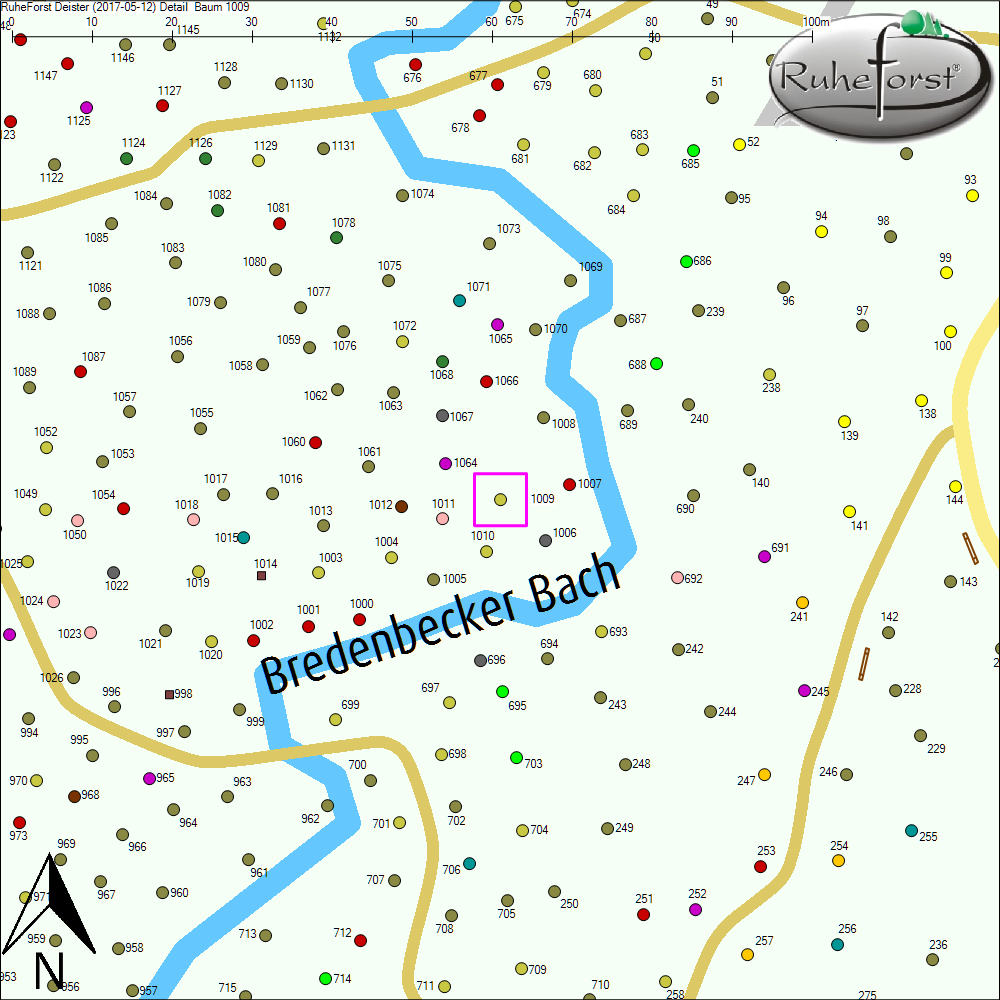 Detailkarte zu Baum 1009
