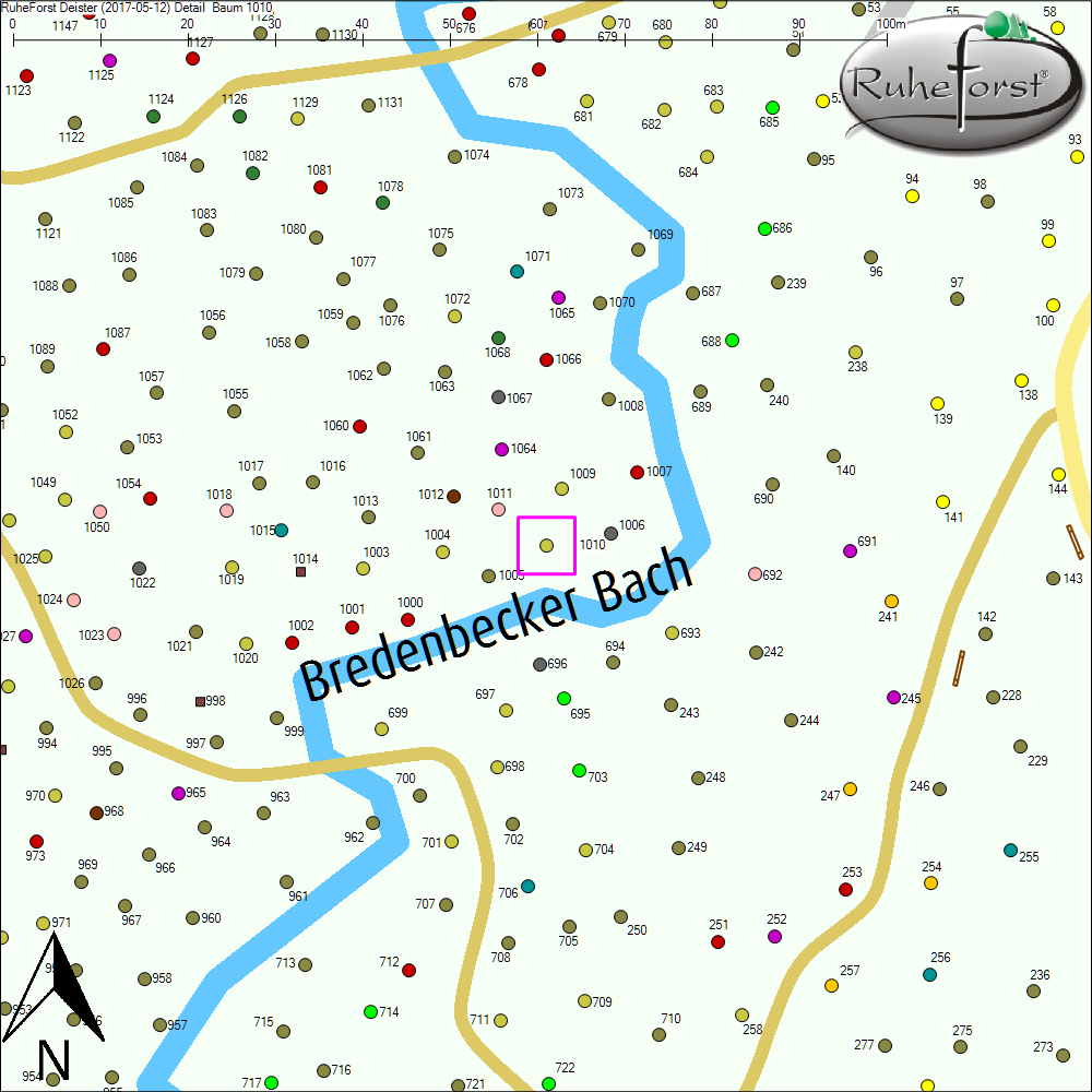Detailkarte zu Baum 1010