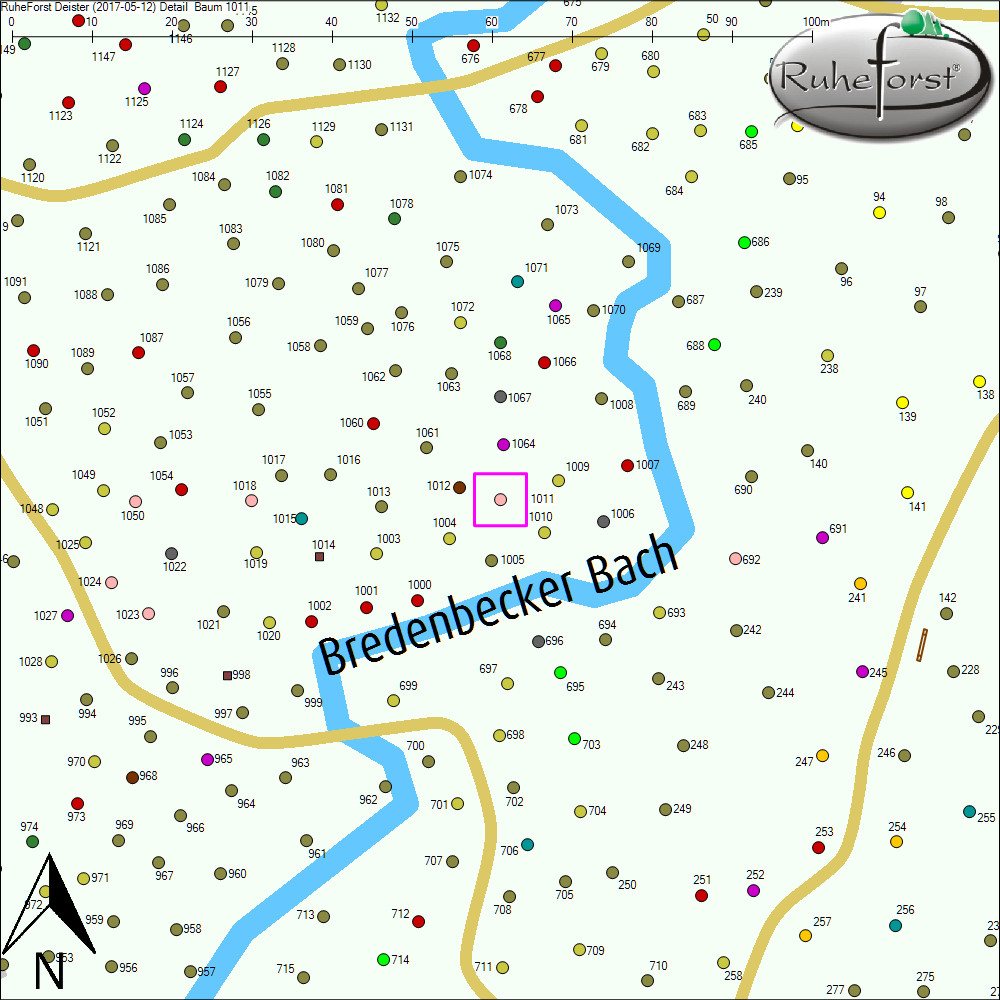 Detailkarte zu Baum 1011