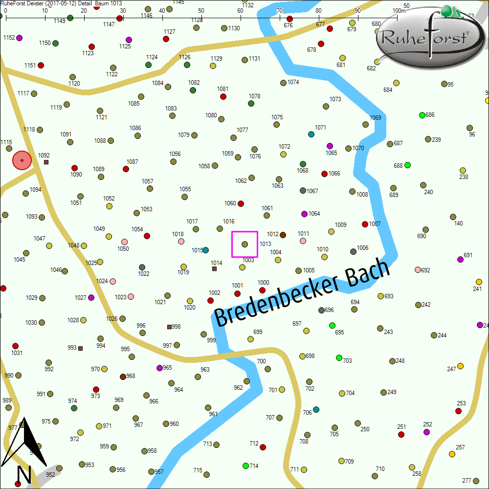 Detailkarte zu Baum 1013