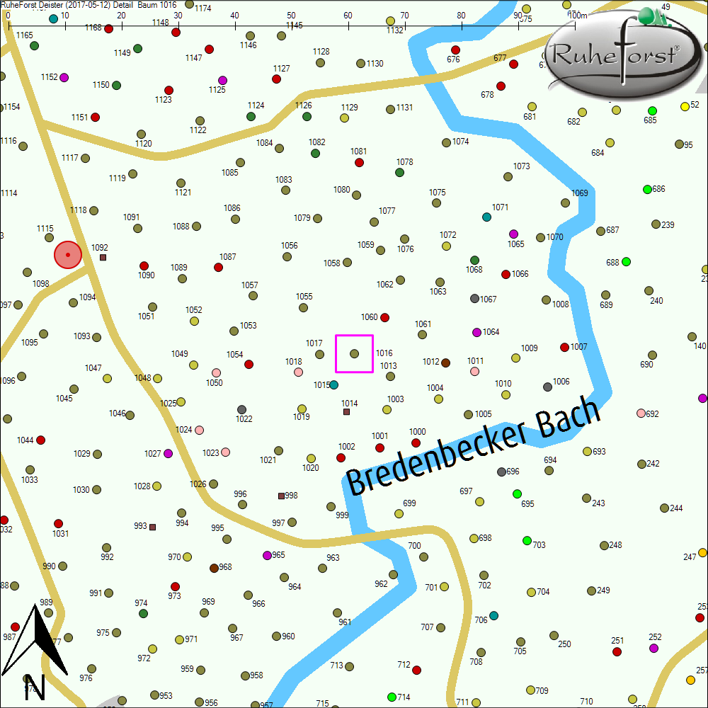 Detailkarte zu Baum 1016
