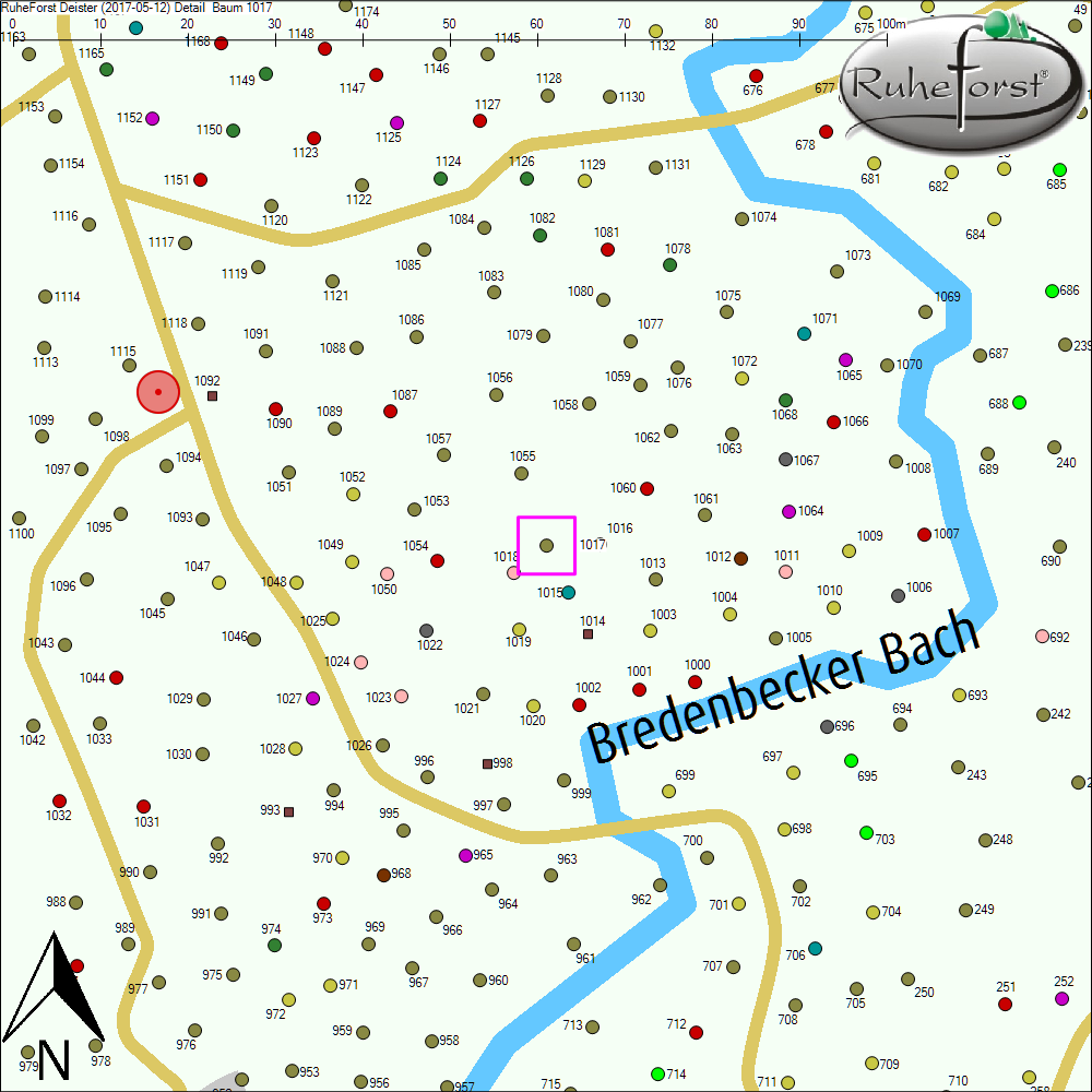 Detailkarte zu Baum 1017