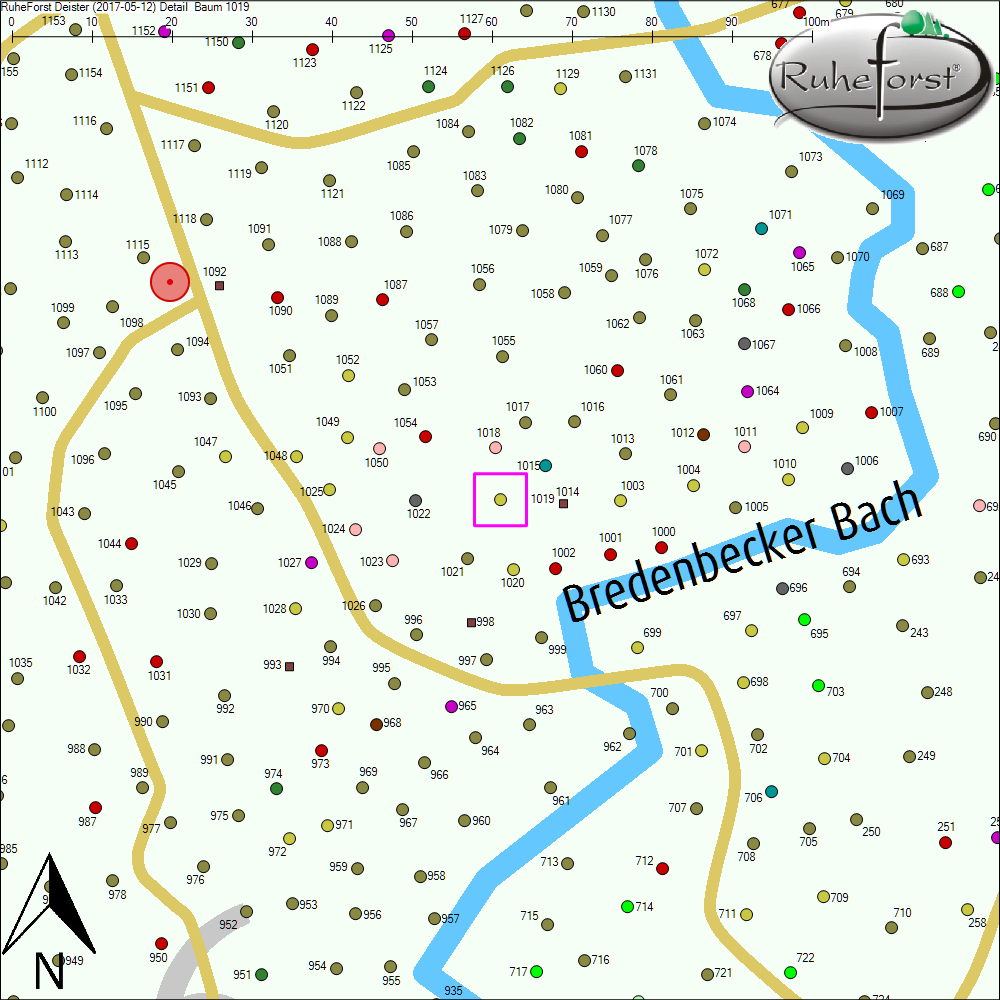 Detailkarte zu Baum 1019