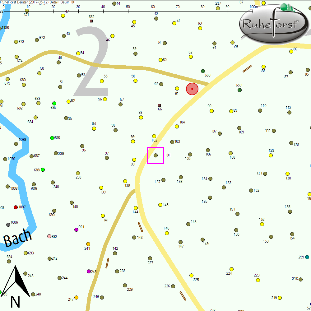 Detailkarte zu Baum 101