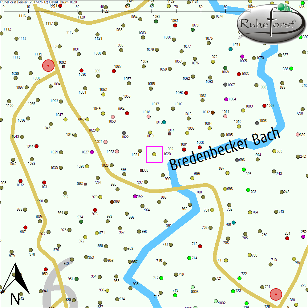 Detailkarte zu Baum 1020