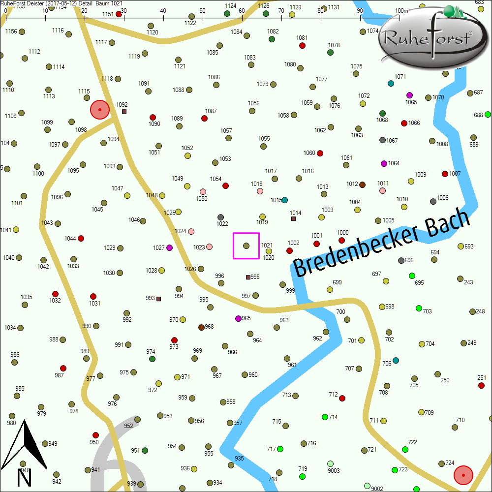Detailkarte zu Baum 1021
