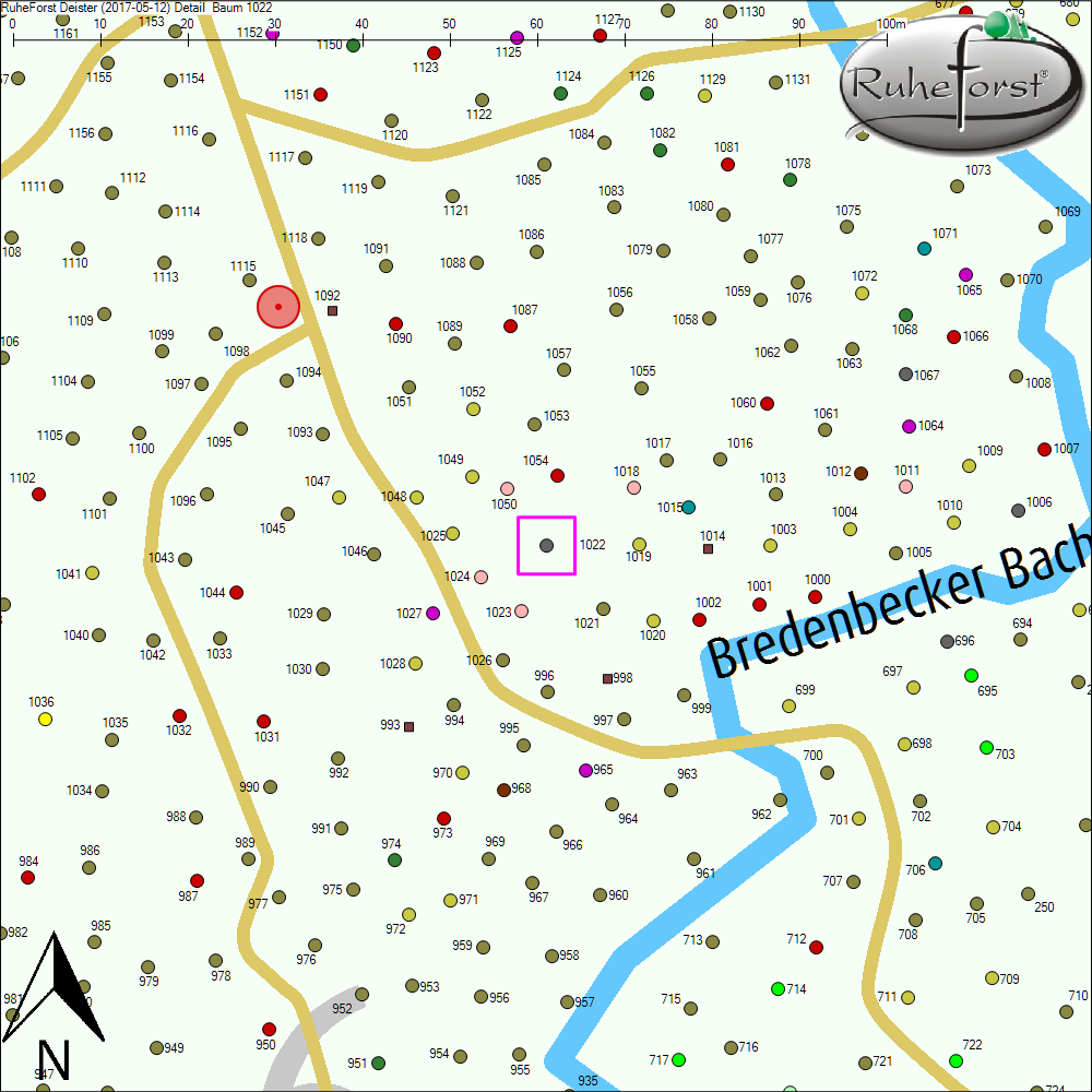 Detailkarte zu Baum 1022