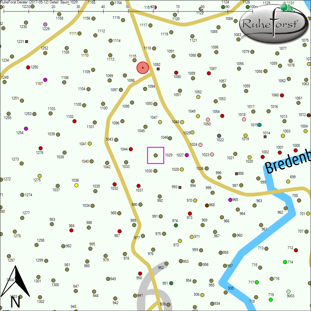 Detailkarte zu Baum 1029