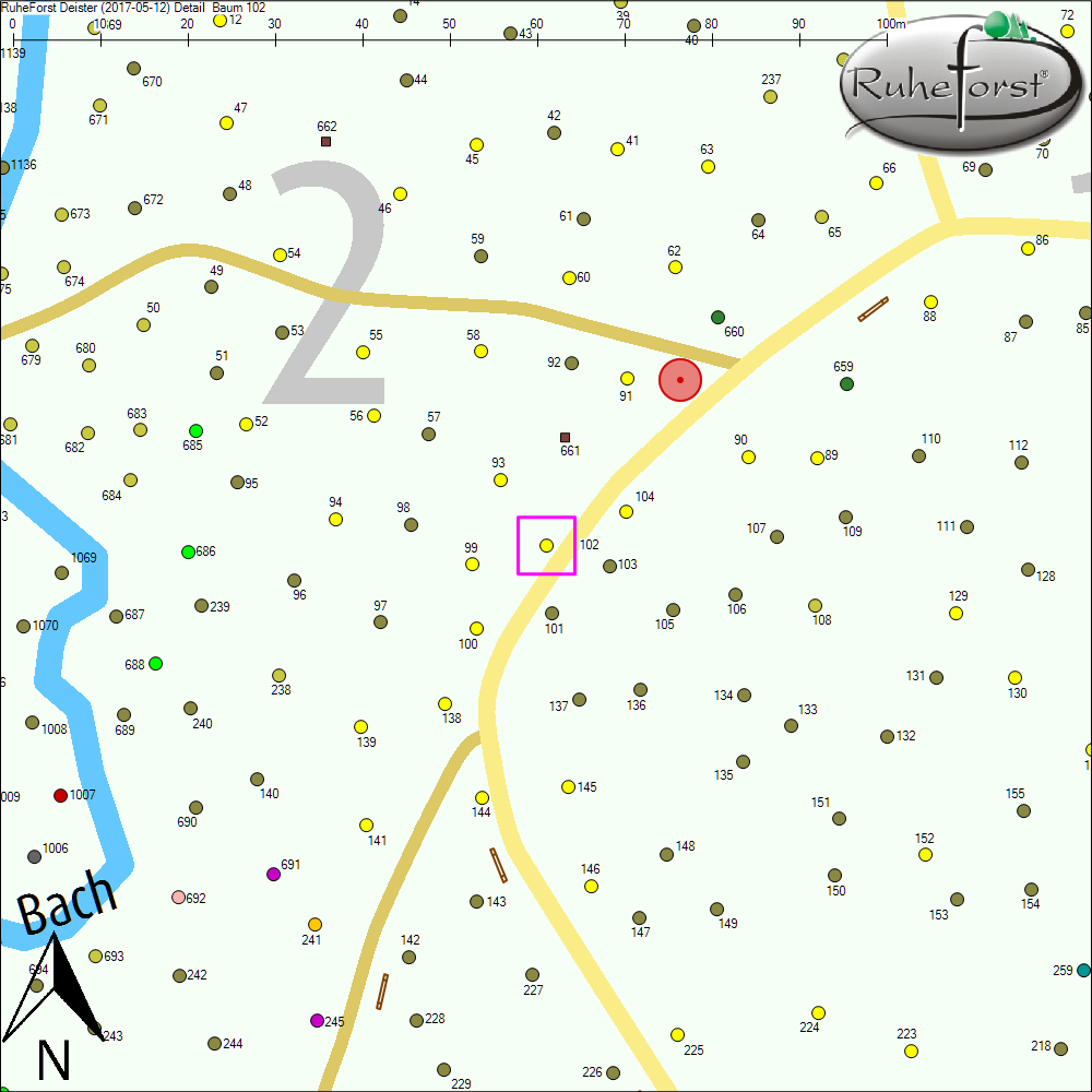 Detailkarte zu Baum 102
