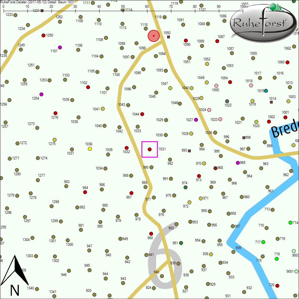 Detailkarte zu Baum 1031