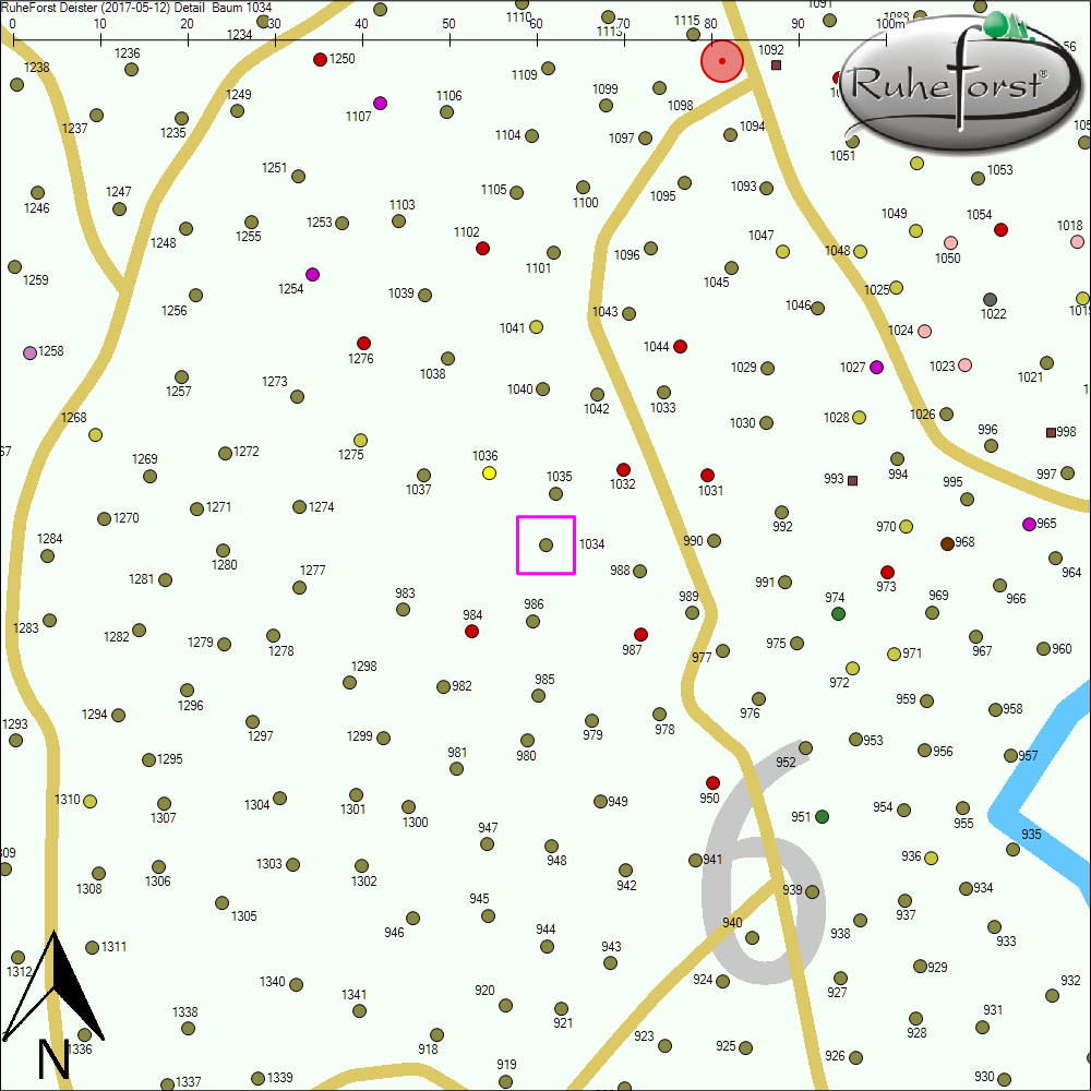 Detailkarte zu Baum 1034