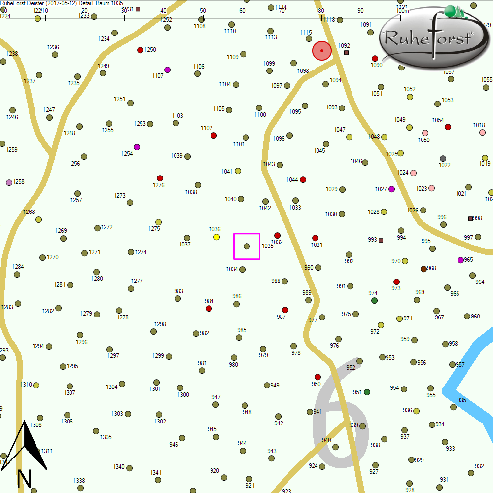 Detailkarte zu Baum 1035