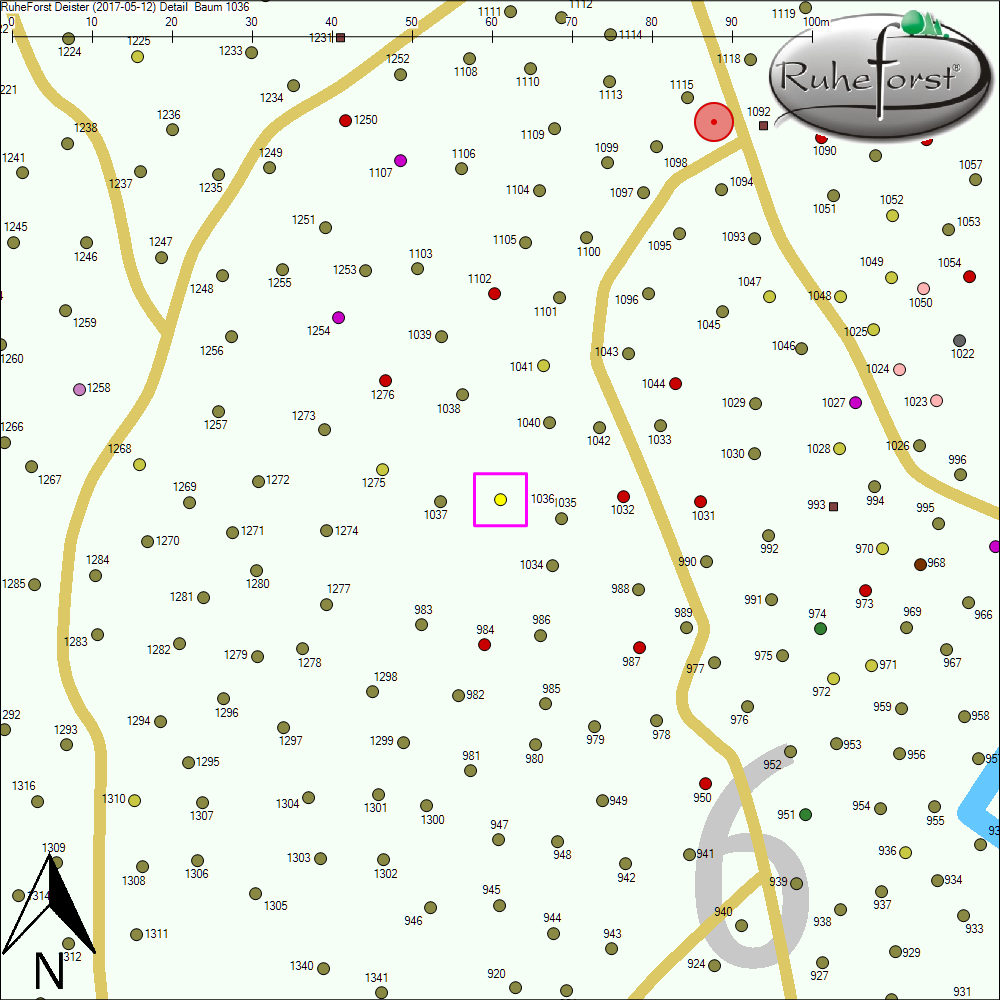 Detailkarte zu Baum 1036