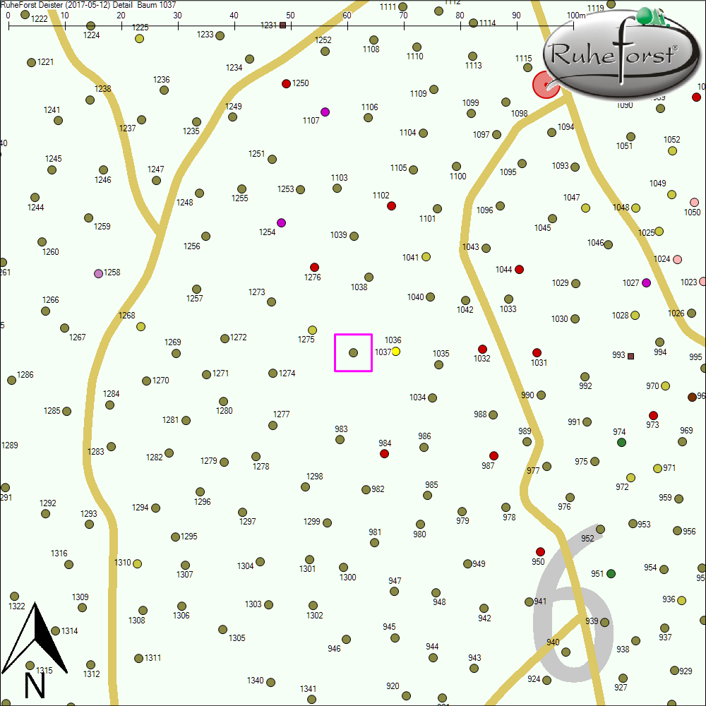 Detailkarte zu Baum 1037