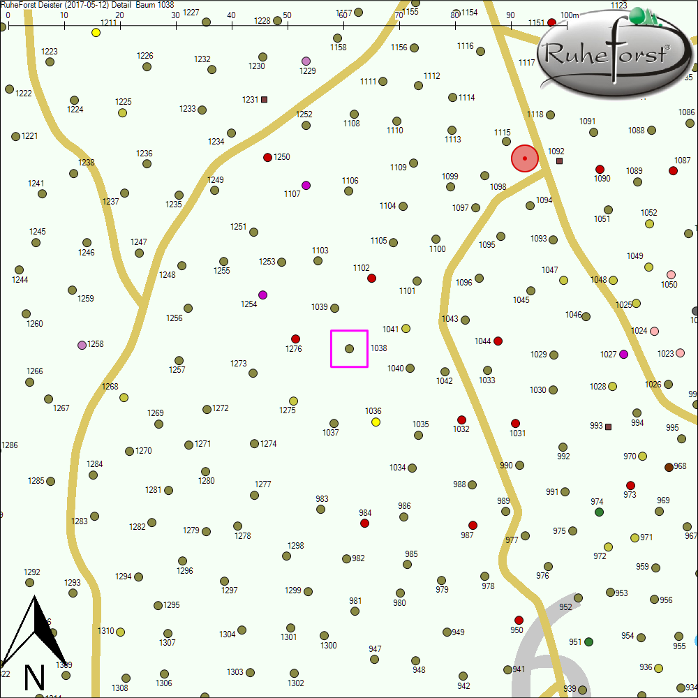 Detailkarte zu Baum 1038