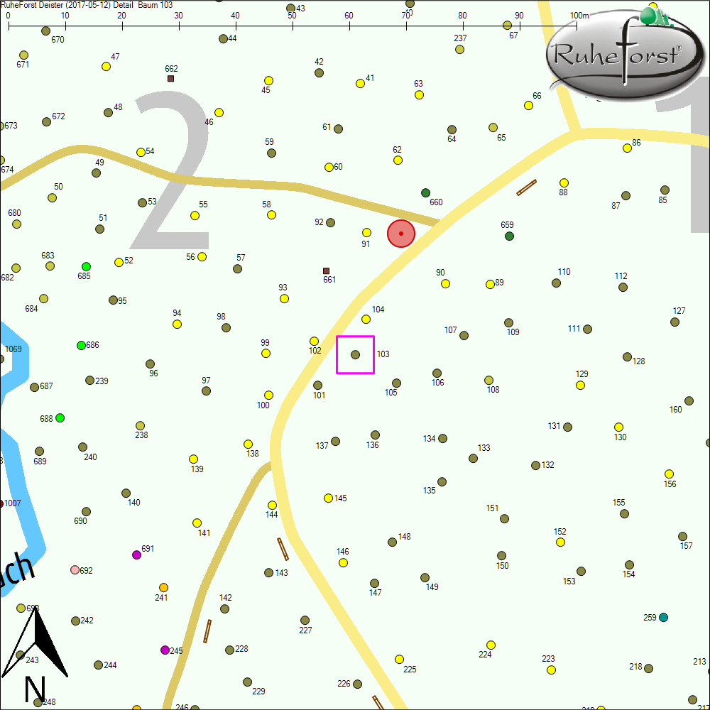 Detailkarte zu Baum 103