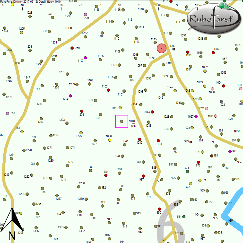 Detailkarte zu Baum 1040