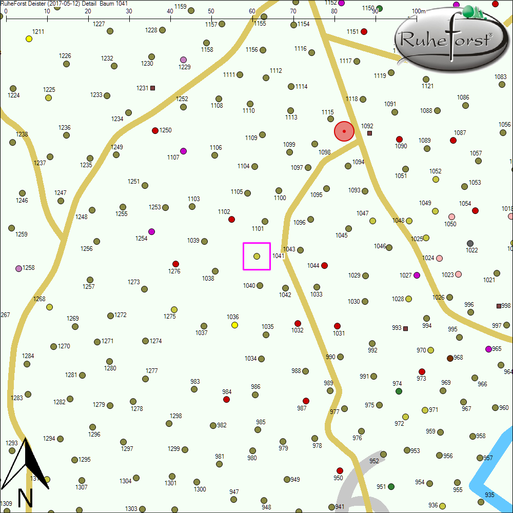 Detailkarte zu Baum 1041