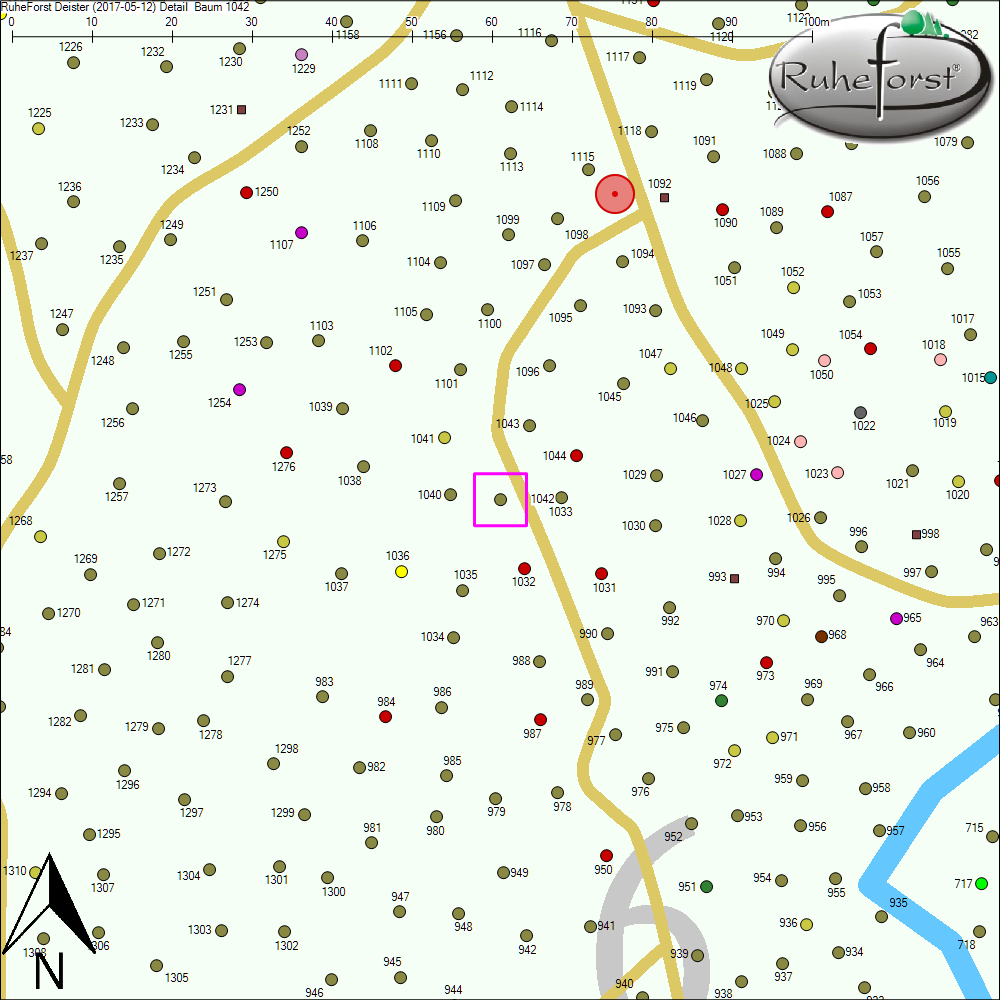 Detailkarte zu Baum 1042