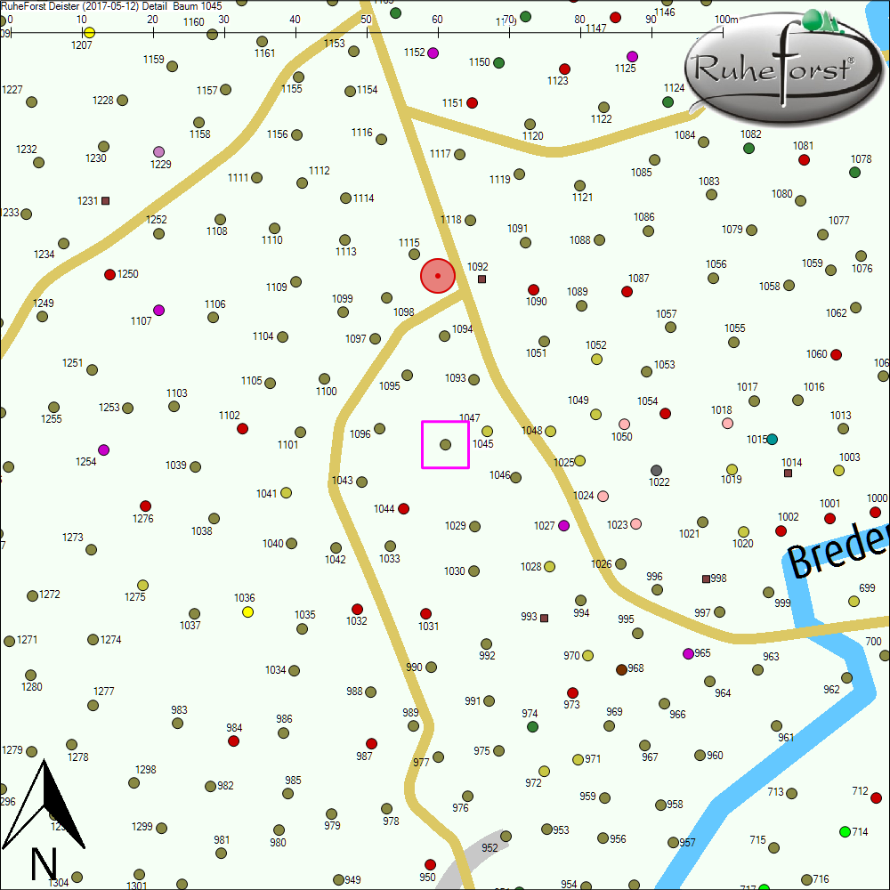 Detailkarte zu Baum 1045