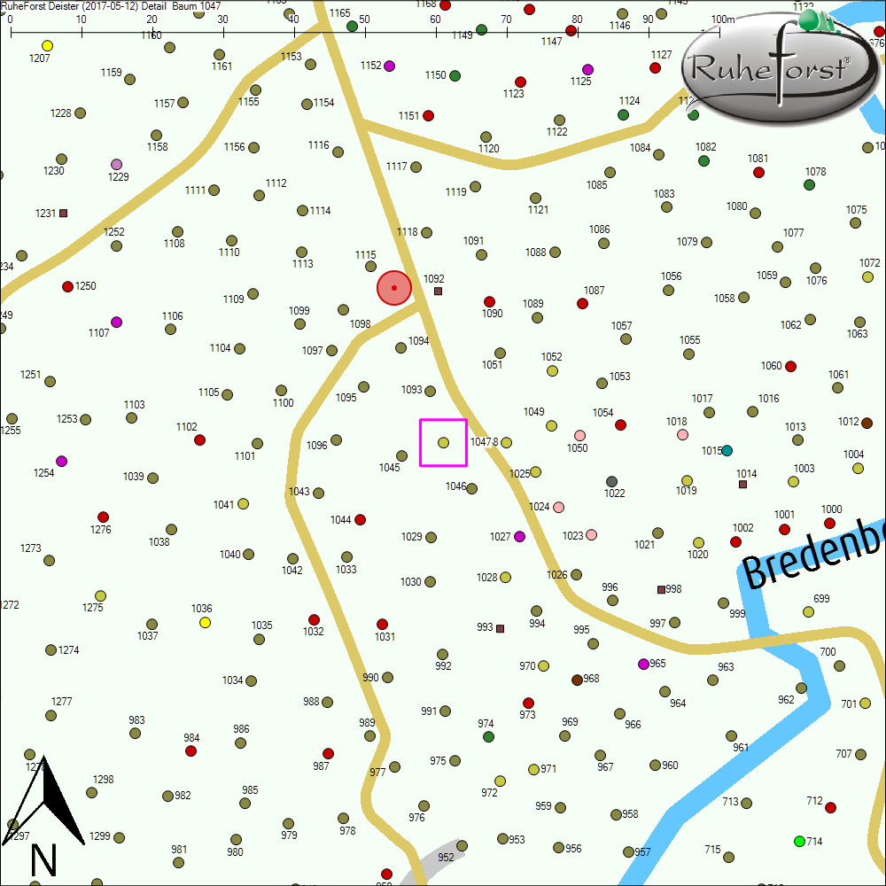 Detailkarte zu Baum 1047