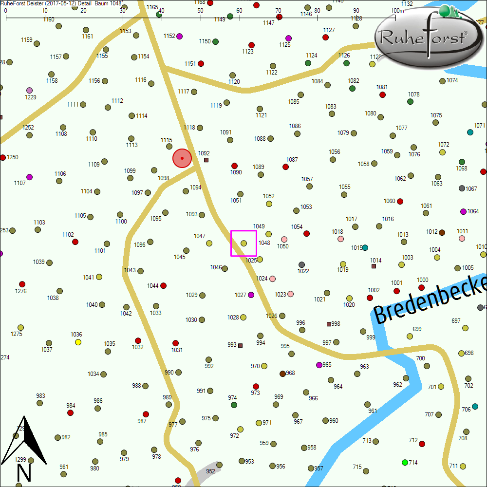 Detailkarte zu Baum 1048
