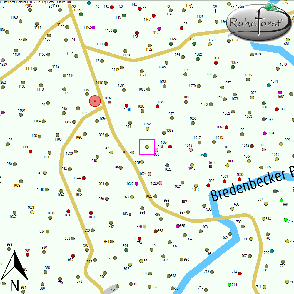 Detailkarte zu Baum 1049