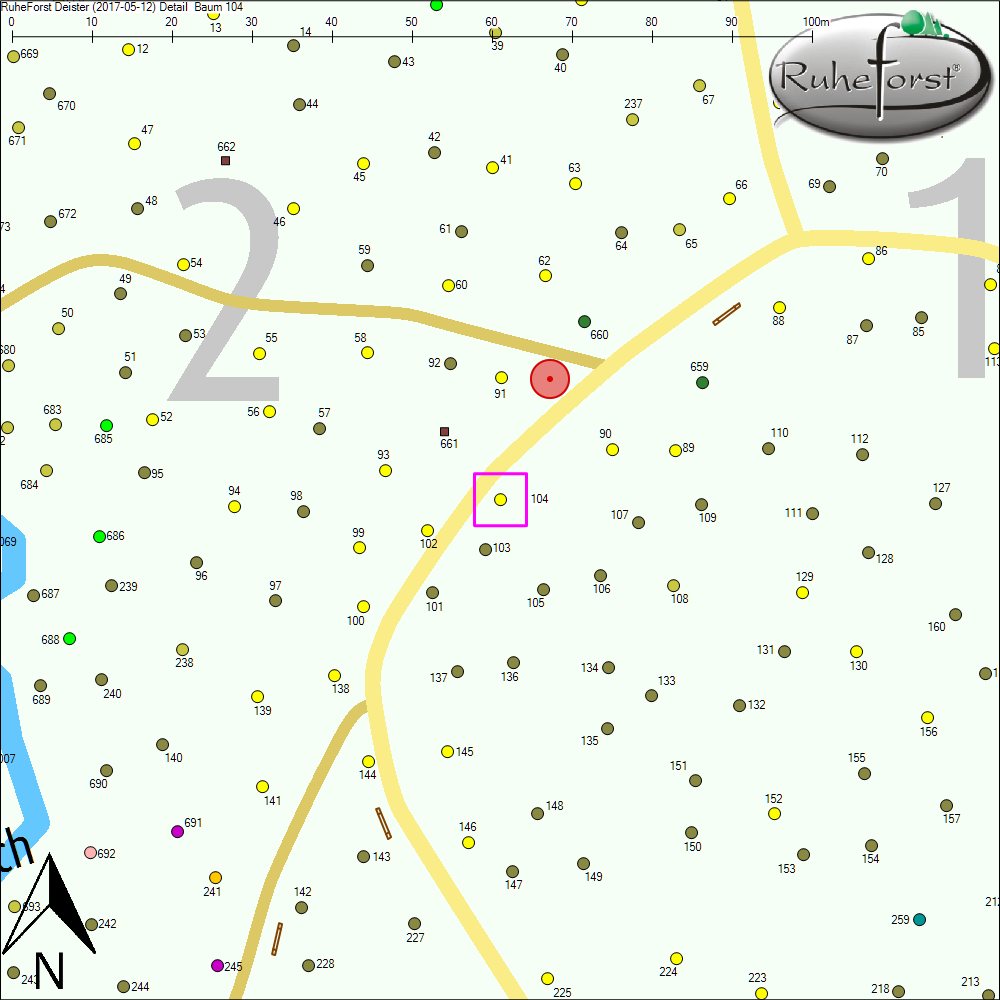 Detailkarte zu Baum 104