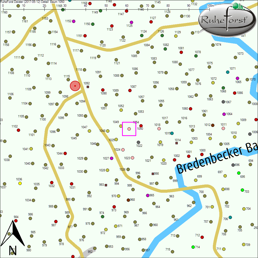 Detailkarte zu Baum 1050