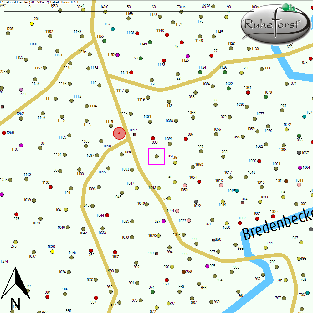 Detailkarte zu Baum 1051