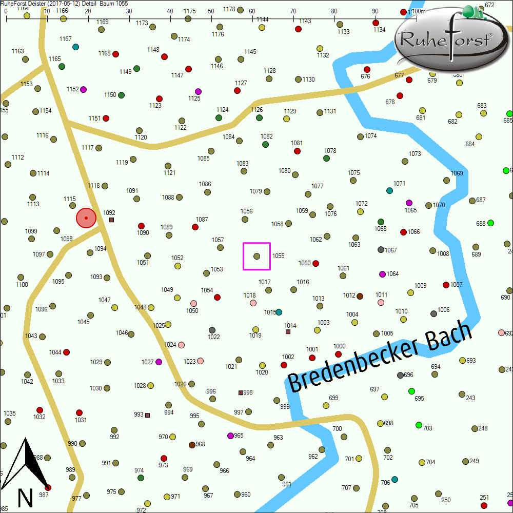 Detailkarte zu Baum 1055