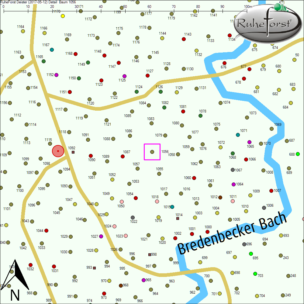 Detailkarte zu Baum 1056