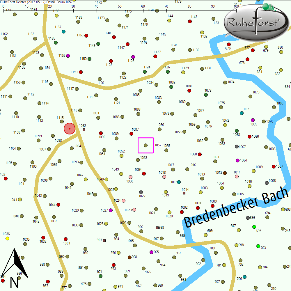 Detailkarte zu Baum 1057