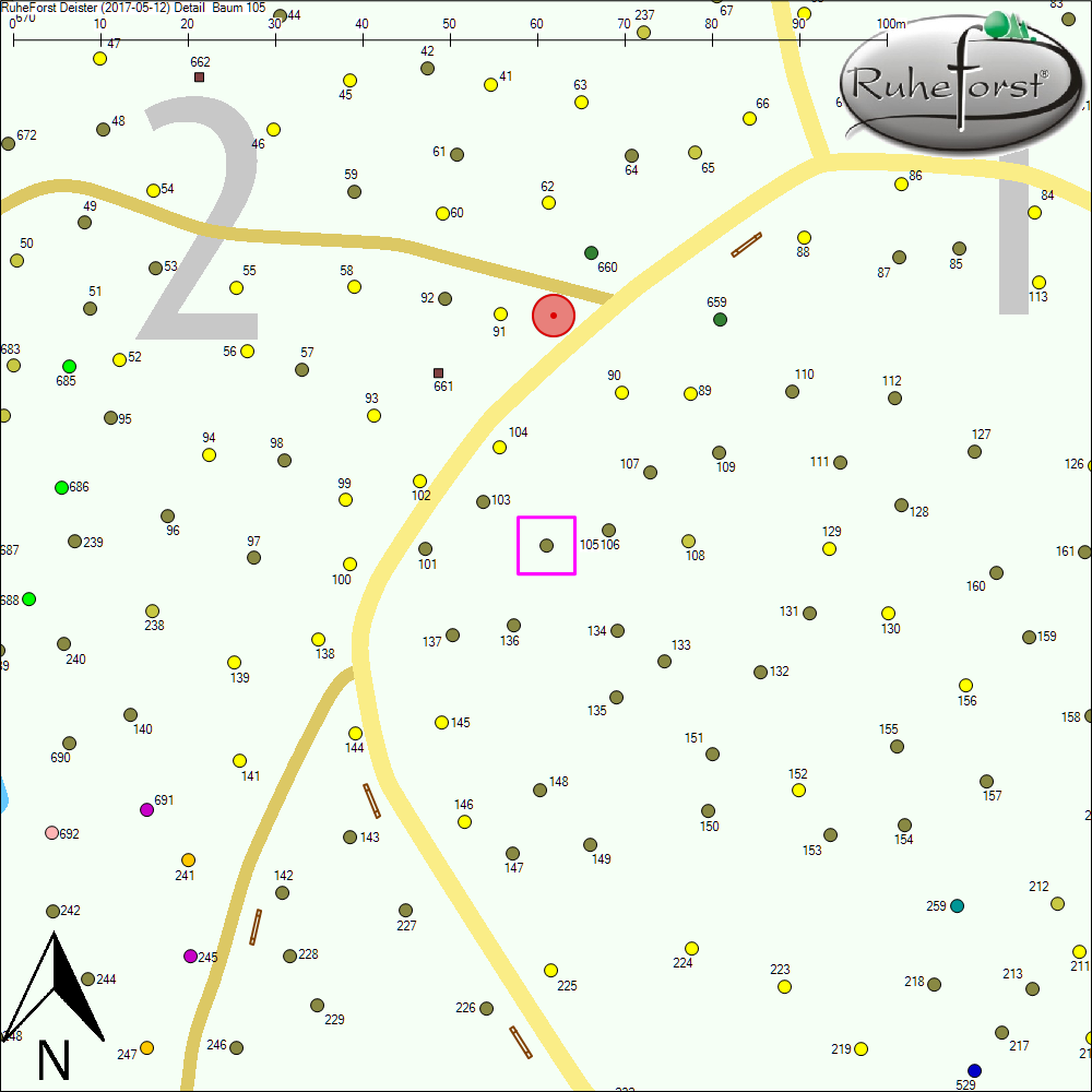 Detailkarte zu Baum 105