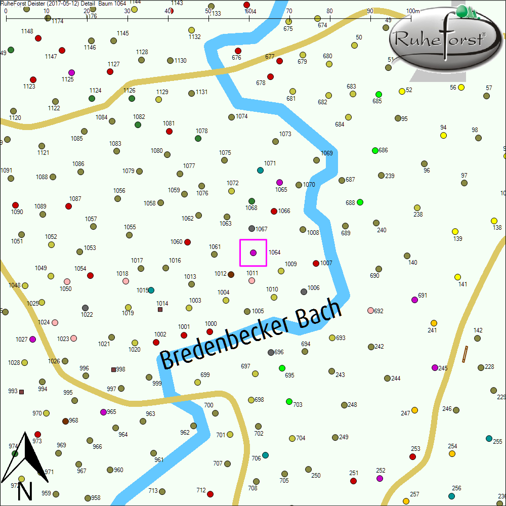 Detailkarte zu Baum 1064