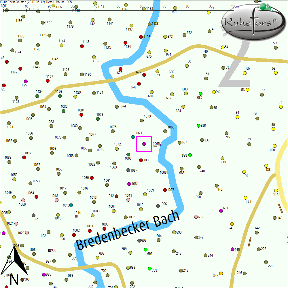 Detailkarte zu Baum 1065