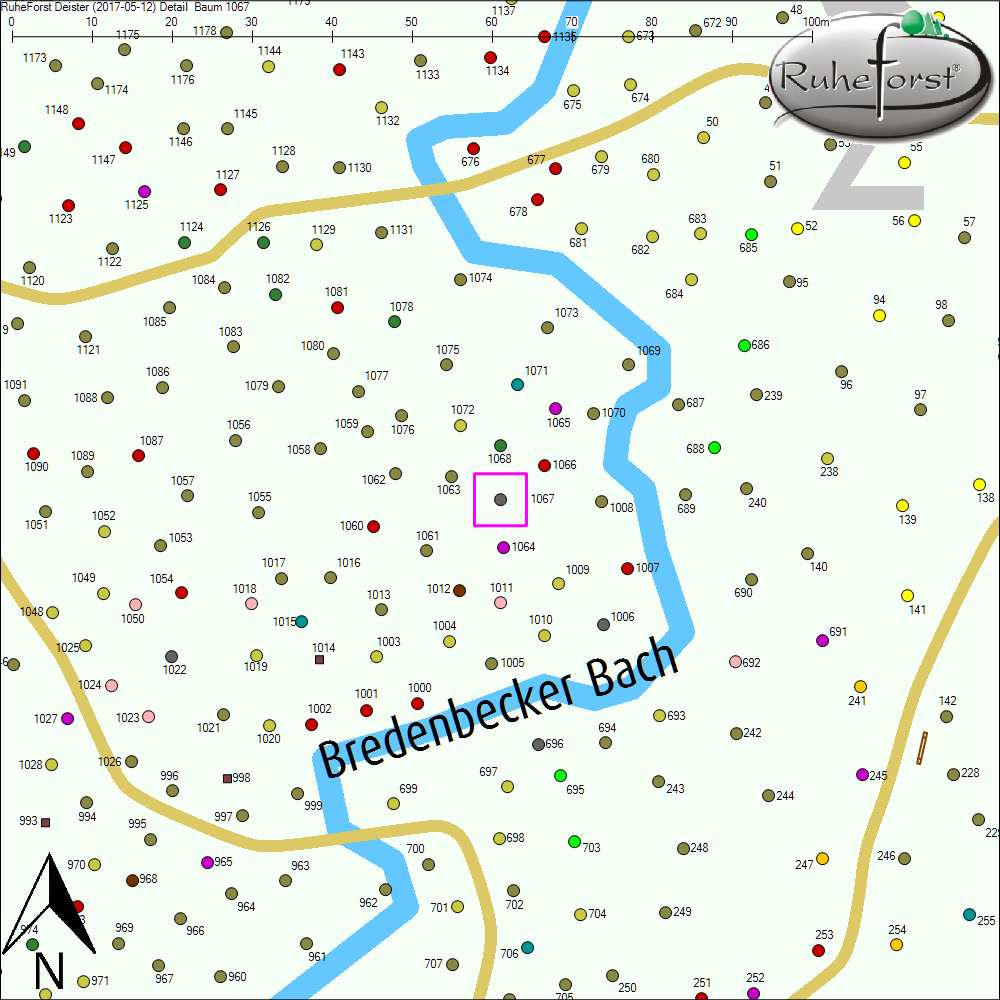 Detailkarte zu Baum 1067