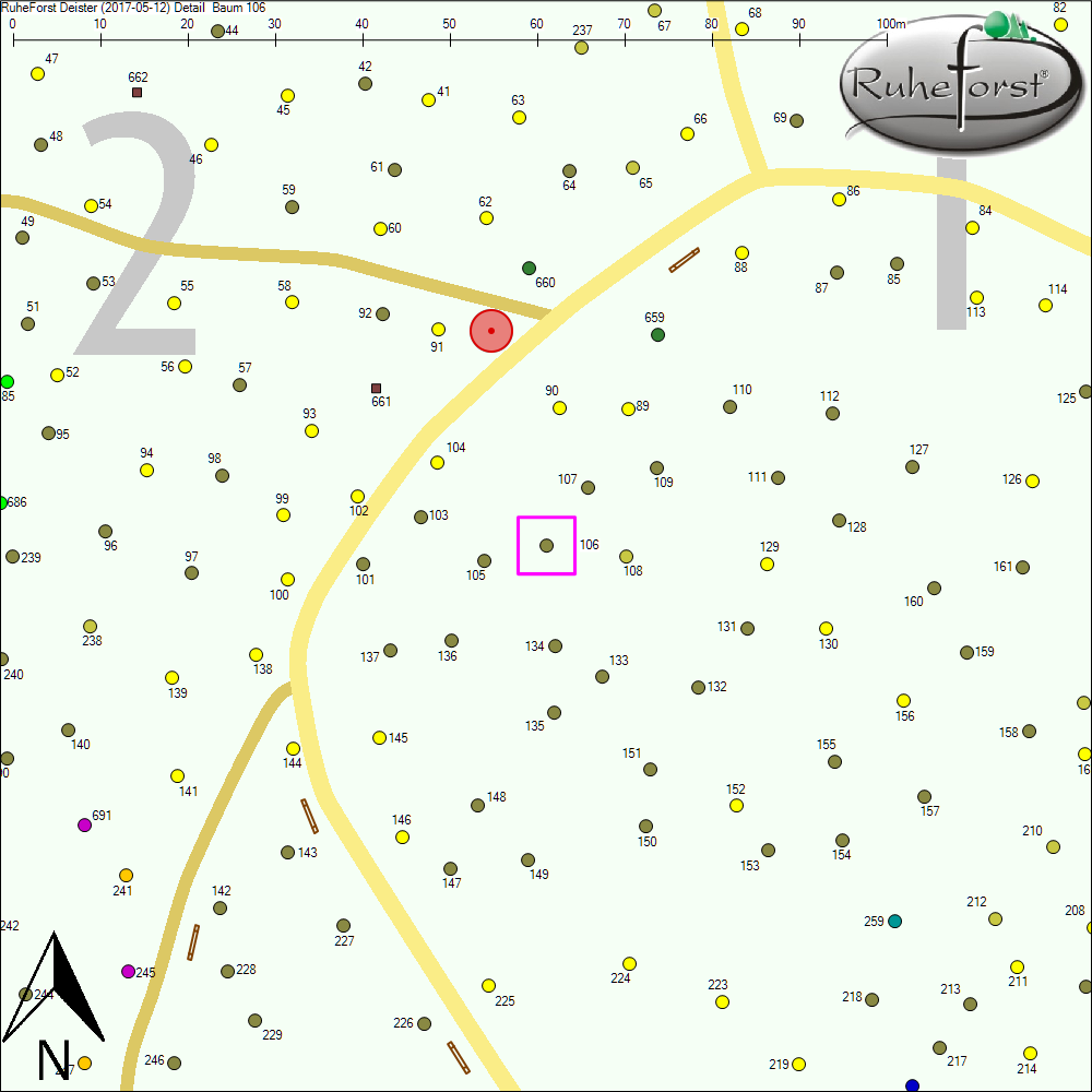 Detailkarte zu Baum 106