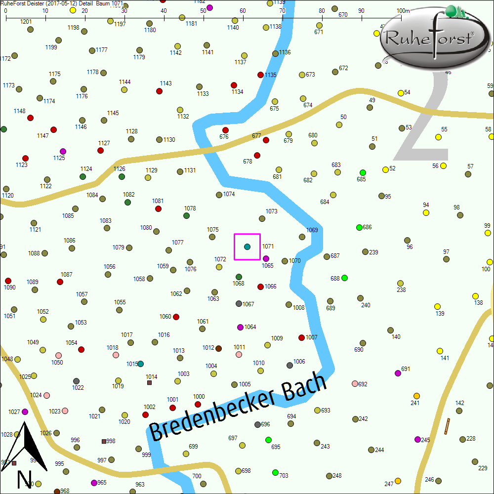 Detailkarte zu Baum 1071