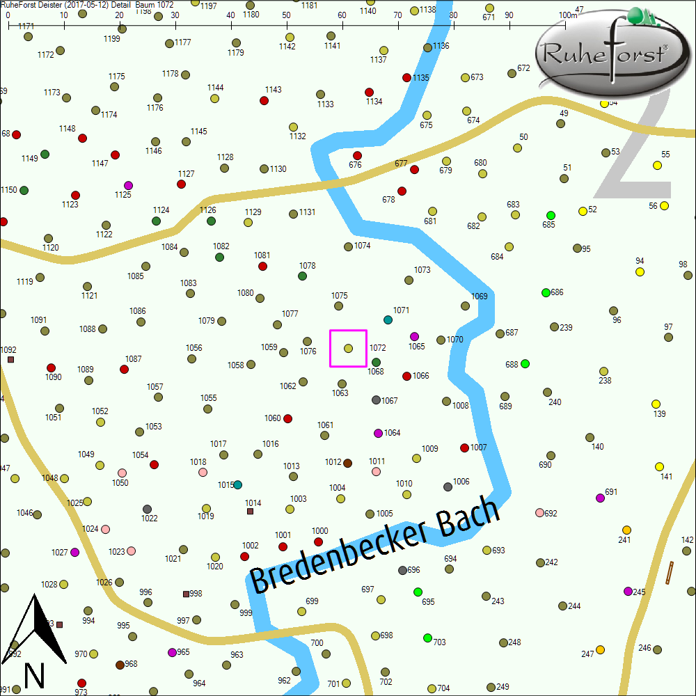 Detailkarte zu Baum 1072