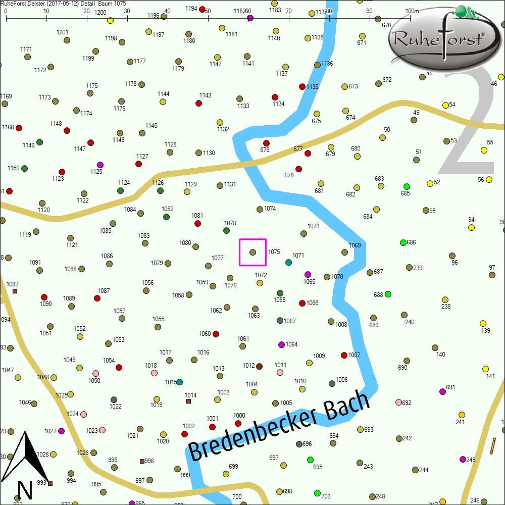 Detailkarte zu Baum 1075